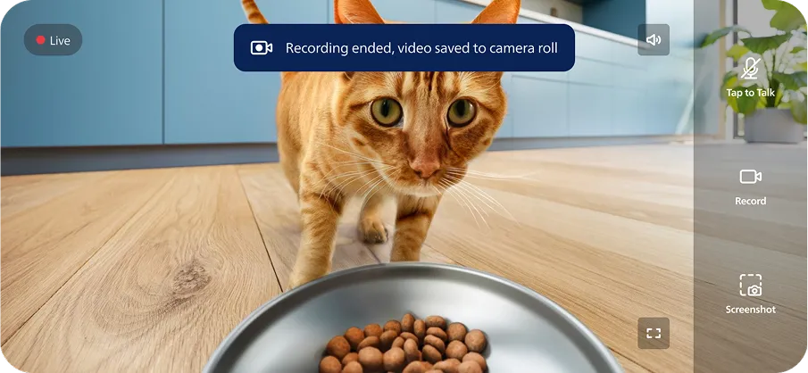 PAW app mockup visual